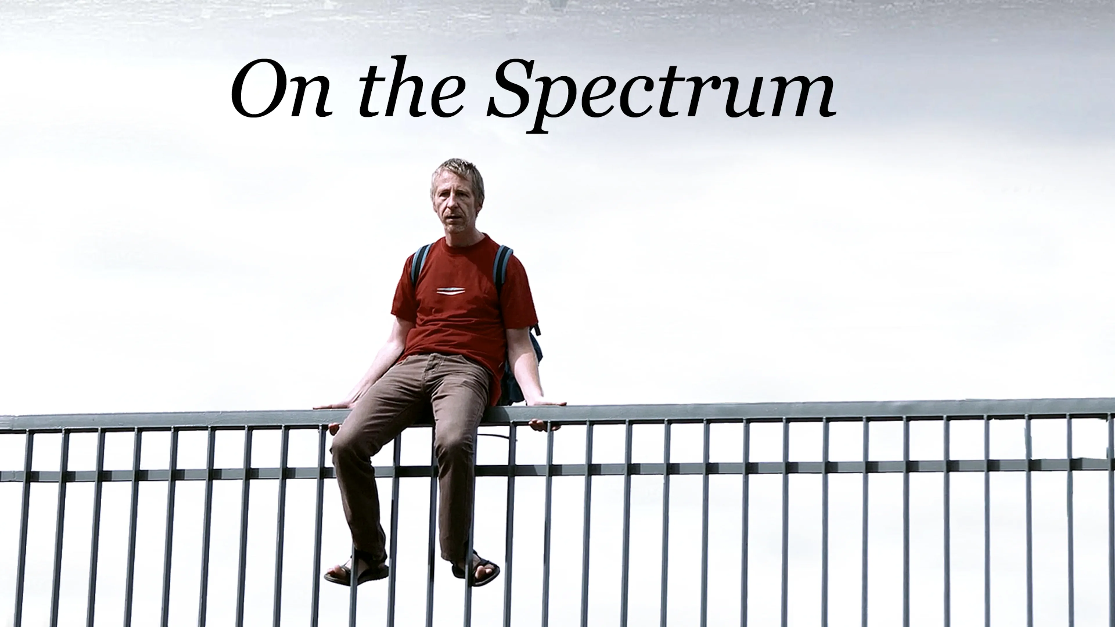 On The Spectrum poster